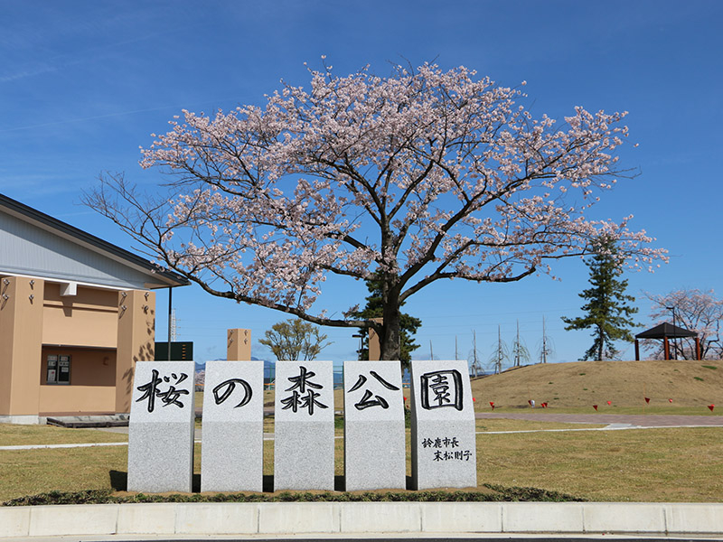 桜の森公園の桜のイメージ写真