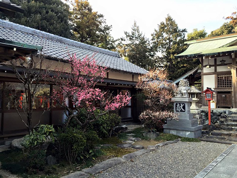 加佐登神社の梅の写真8