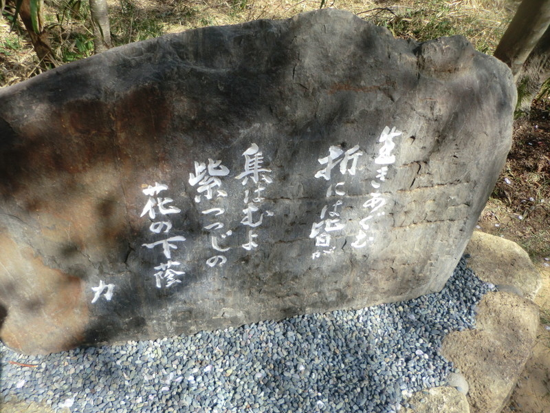 伊奈冨神社（いのうじんじゃ）のムラサキツツジの写真5