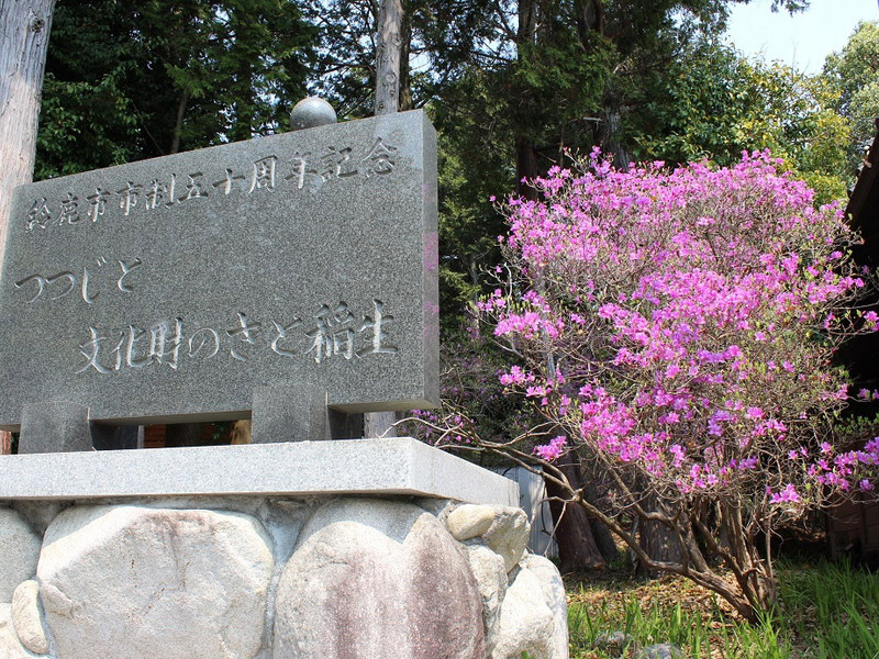 伊奈冨神社（いのうじんじゃ）のムラサキツツジの写真10