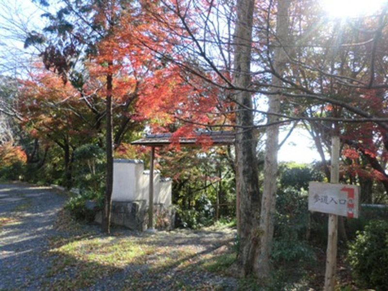 石薬師寺の紅葉の写真2