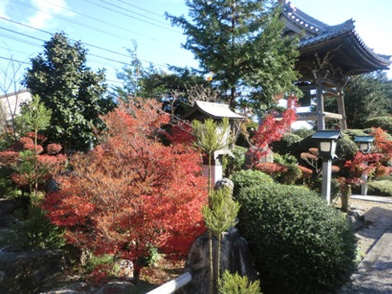 石薬師寺の紅葉の写真5