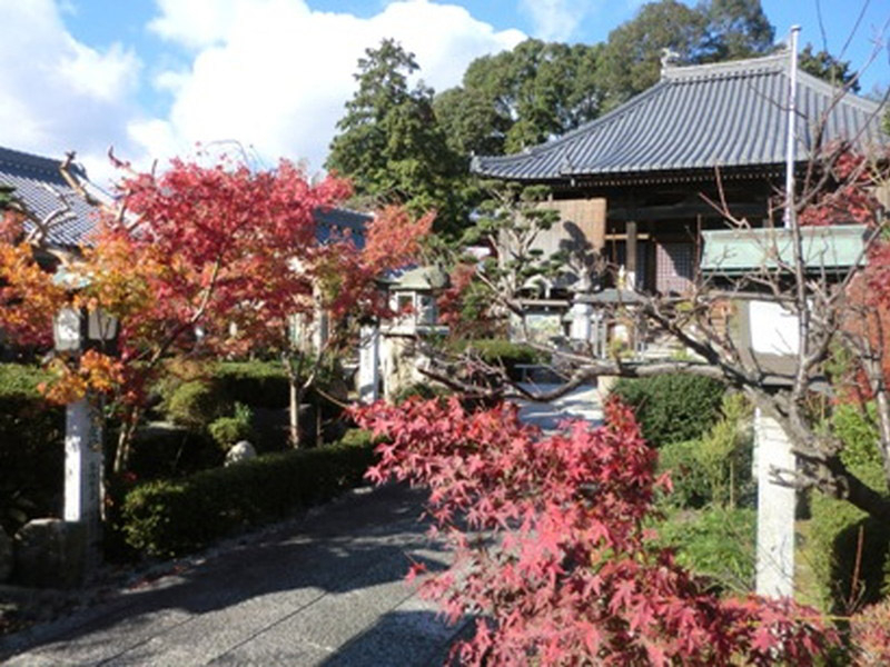 石薬師寺の紅葉の写真6