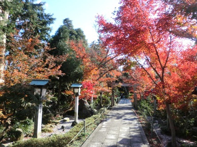石薬師寺の紅葉の写真7