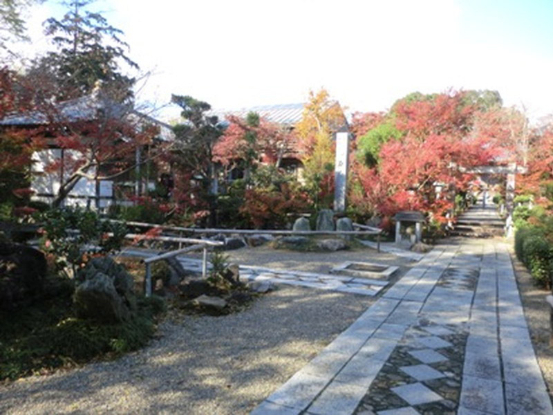石薬師寺の紅葉の写真9