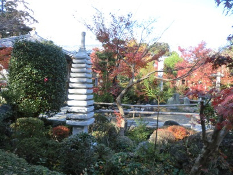 石薬師寺の紅葉の写真10