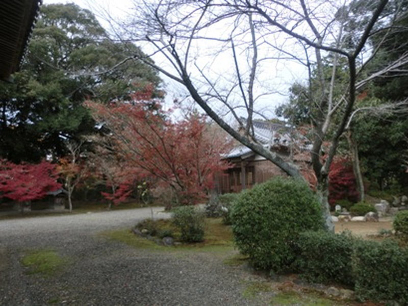 荒神山観音寺の紅葉の写真6