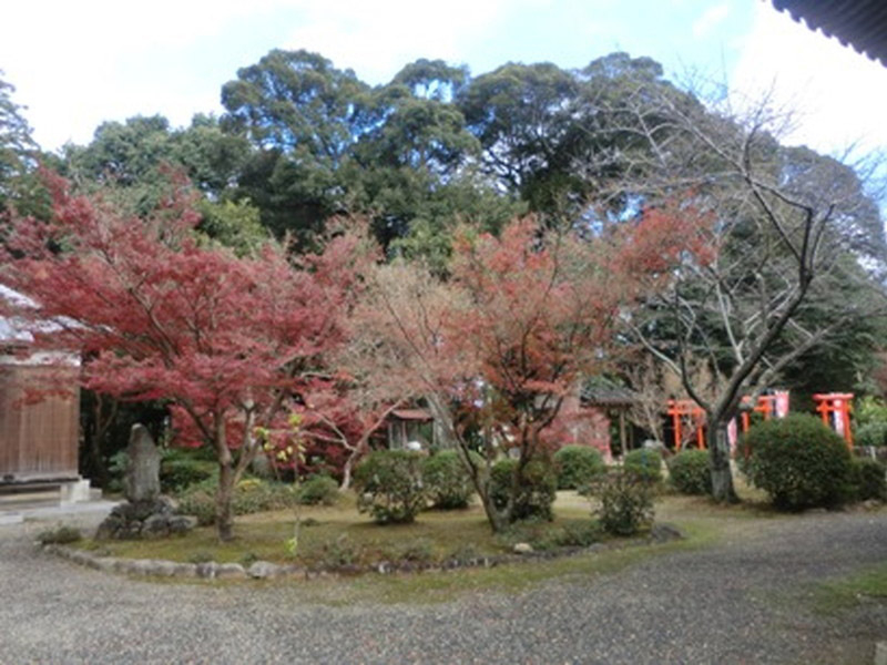 荒神山観音寺の紅葉の写真8