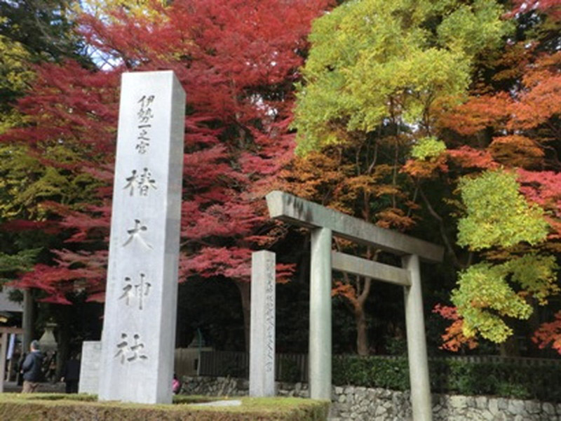 椿大神社の紅葉の写真1