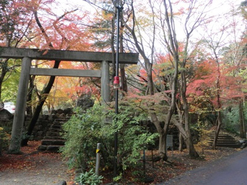 椿大神社の紅葉の写真2