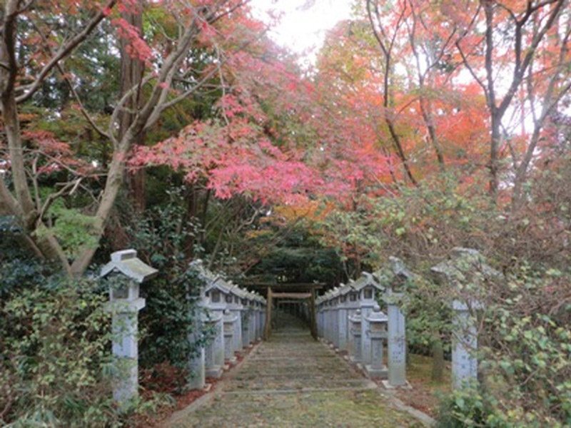 加佐登神社の紅葉の写真1