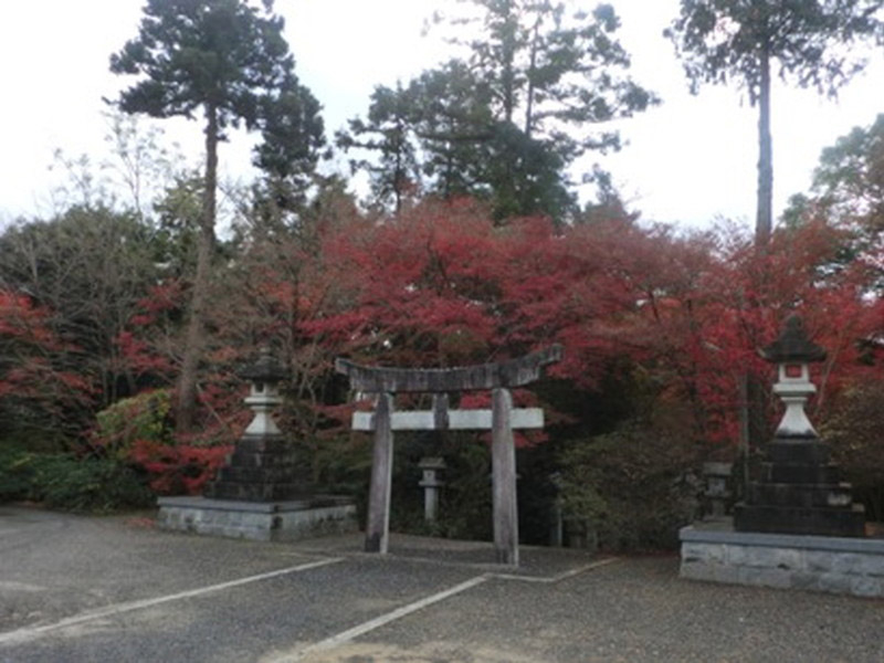 加佐登神社の紅葉の写真2