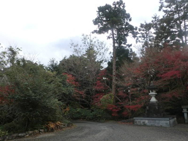 加佐登神社の紅葉の写真3