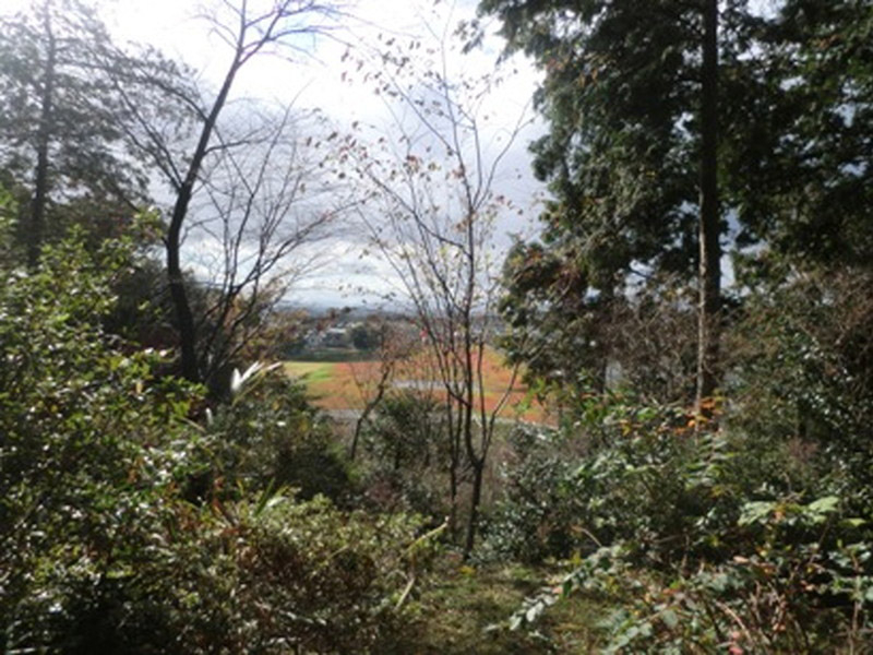 加佐登神社の紅葉の写真5