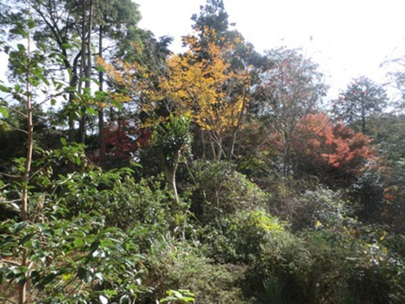 加佐美神社