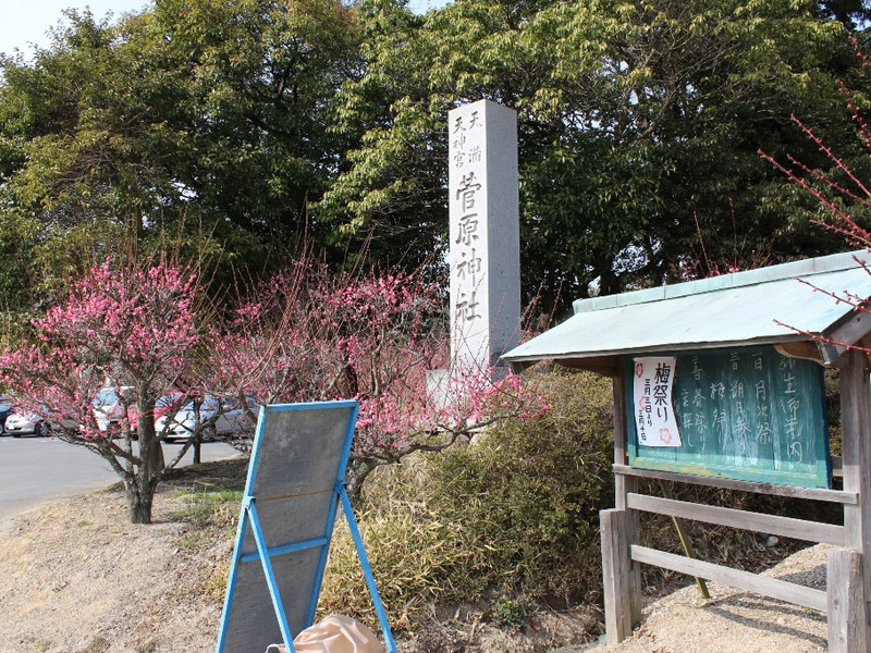 菅原神社のしだれ梅の写真9