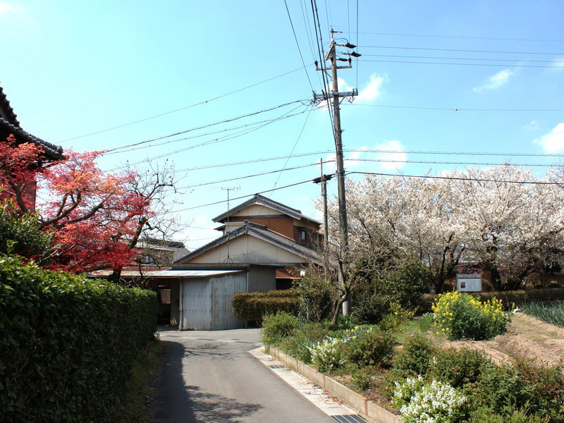 石薬師の蒲桜の写真6