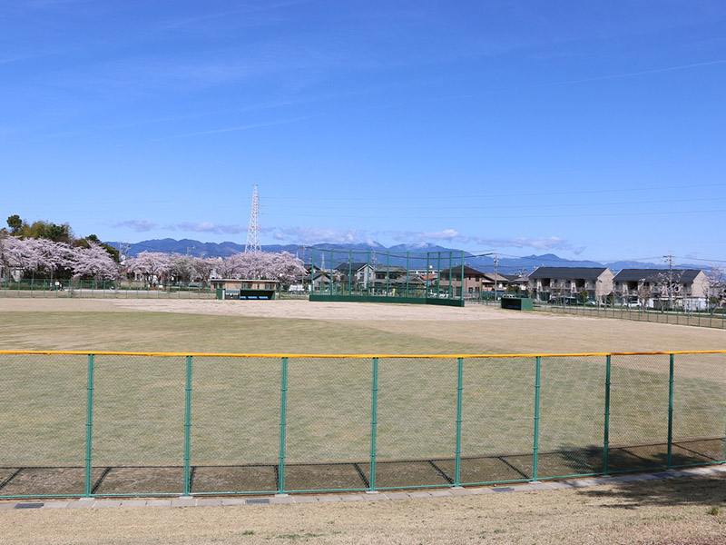 桜の森公園の桜の写真9