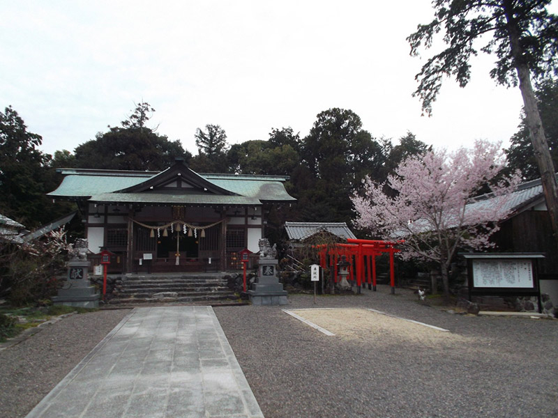 加佐登神社の桜のイメージ写真