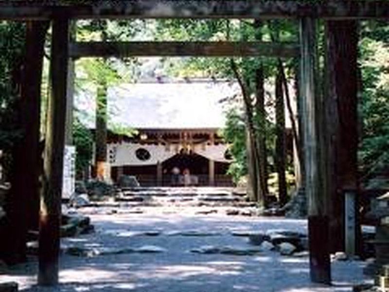 椿大神社の桜の写真1