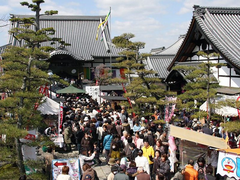 天澤山 龍光寺の写真1