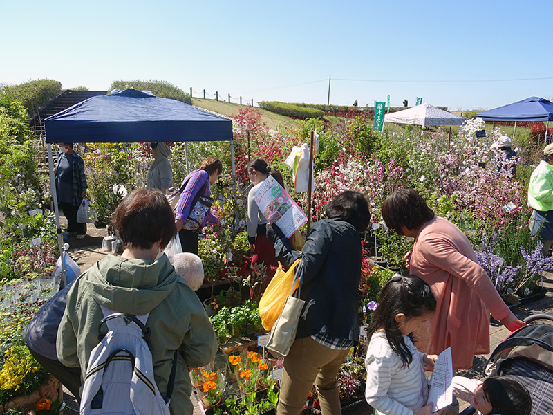 鈴鹿市植木振興会の写真3