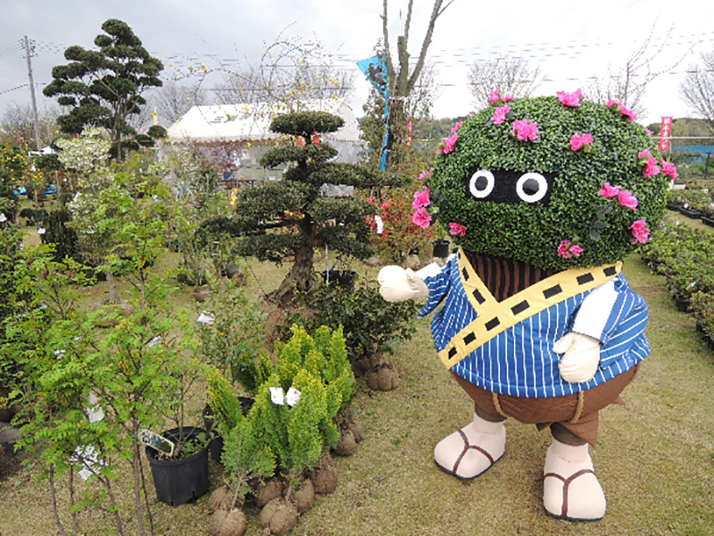 鈴鹿市植木振興会の写真5