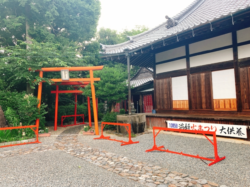 金剛山 江西寺（こうぜいじ）祈願だるま寺の写真3